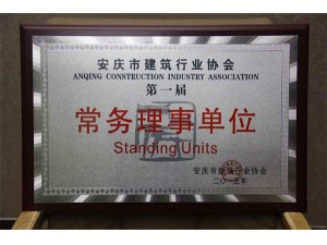 安庆建筑业协会常务理事单位